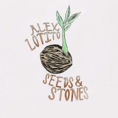 Seeds & Stones