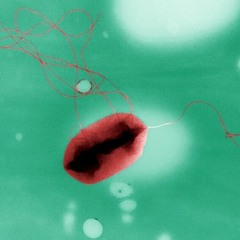 Sounds of science: a bacterium swimming