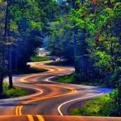 Gloka - 283a Forest Road Snippet