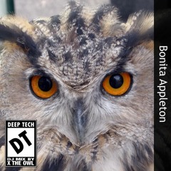 X the Owl - Bonita Appleton