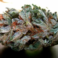 ONSLAUGHT - HYBRID [CLIP]