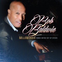 bob baldwin, stevie wonder