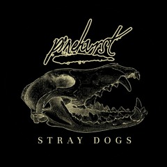 Pinehurst - Stray Dogs