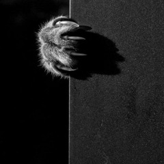 In A Twisted Clutch - A Lady Avel  & Thai Chy Folie à Deux