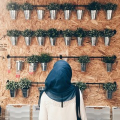 All I Want // Kodaline