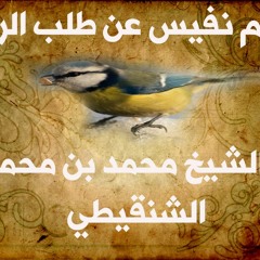 كلام نفيس عن طلب الرزق للشيخ محمد بن محمد المختار الشنقيطي