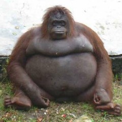chunky monkey