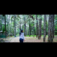 Apalah Arti Menunggu - inrisitepu (cover)