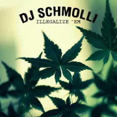 Illegalize 'Em (B-ЯEAL/BUSTA RНYMES/LL C00L J vs. MARSlM0T0)