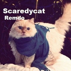 Scaredycat (Original)