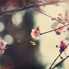 Originals: Little Sunshine (studio)(2015)