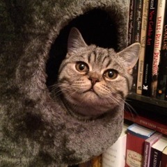 Gardens In The City - Melanie Safka cover