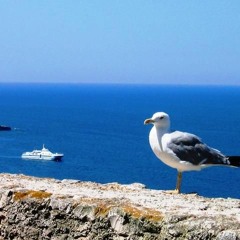 GABBER MAFIA RIDDIM instrumental version