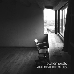 You'll Never See Me Cry (Ambassadeurs Remix)
