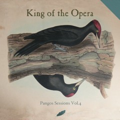 Beach Party (Pangos Sessions Version)