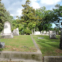 We Here..spec.joh-pro.blyndtru