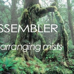 Assembler presents  “Rearranging Mists”