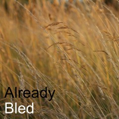 Already Bled - Kirsty Edwards