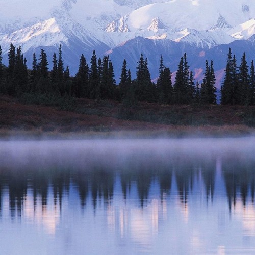 Alaskan (Feat. Svend Berg)