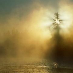 Linkey - Nebel ( Original Mix )