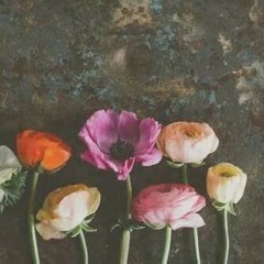 روحي فداك | مسعود كريتس <<بدون مويسقى>>❤