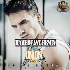 Ale Mendoza - Me Encantas (La Gran Unión Mambofast Remix)