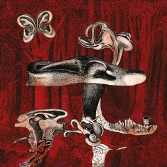 Anvil FX - Diafragma