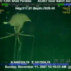 Squid Dad Presents Spookfest 2008