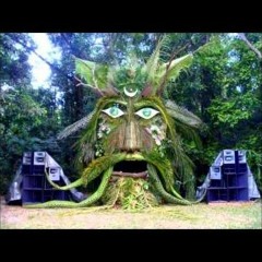 Psylotribe - La Belle Verte