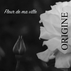 Fleur De Ma Ville (Téléphone) - Origine