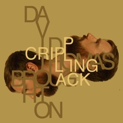 David Thomas Broughton - Words Of Art (feat. Aidan Moffat)