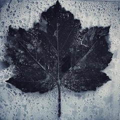 Karl Kelly - However
