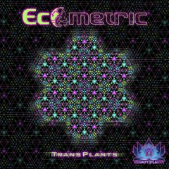 Whitebear - Bardo (Ecometric Rebirth)