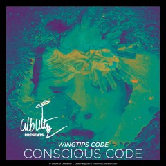 Conscious Code {30'0:2'70} [Wingtips Code]