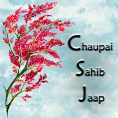 9..Bhai Karanvir  Singh Ji - Chaupai Sahib Kirtan Jaap - 26th Sep 2015