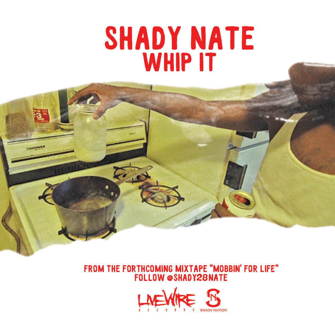 Shady Nate - Whip It (Hosted by DJ Ghost) [Thizzler.com]