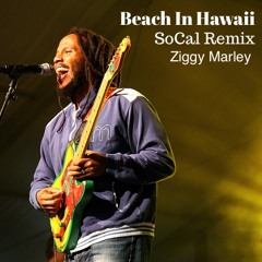Beach In Hawaii - Ziggy Marley (SoCal Remix)