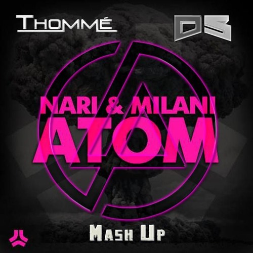 Linkin Park vs  Nari & Milani vs Olly James - In The End Atom (Thommé & DSalles MashuP)