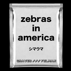 graves & FELMAX - Zebras in America
