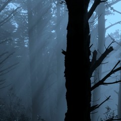 Unbelievable (teaser)