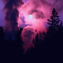 Shut Out Of Paradise