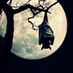 Moon Mixes