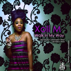 Walk In My Way [Abicah Soul Trinidadian Deep afroDiscoNYC remix] - Xoli M [unreleased]