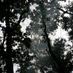 Passage To Somewhere