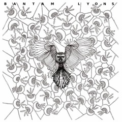 BANTAM  LYONS "Something Familiar"