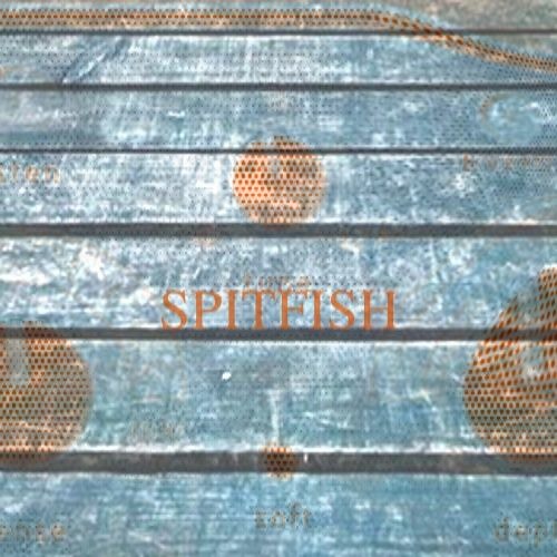 Spawn - SPITFISH(Original Mix)[FREE DL]