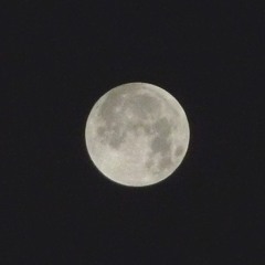 1990-05-25 Berlin Tekknozid HdJT (Haus der jungen Talente)  Wolle XDP Neugebauer