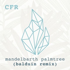 Mandelbarth - Palmtree (Balduin Remix)