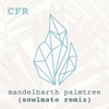 Mandelbarth - Palmtree (Sowlmate Remix)