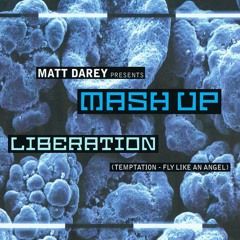 Matt Darey Presents Mash Up - Liberation (Temptation - Fly Like An Angel) (Ferry Corsten Remix)